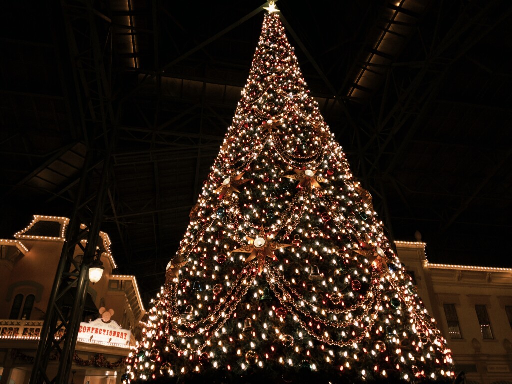 fxn 2025-12-15 173122.299